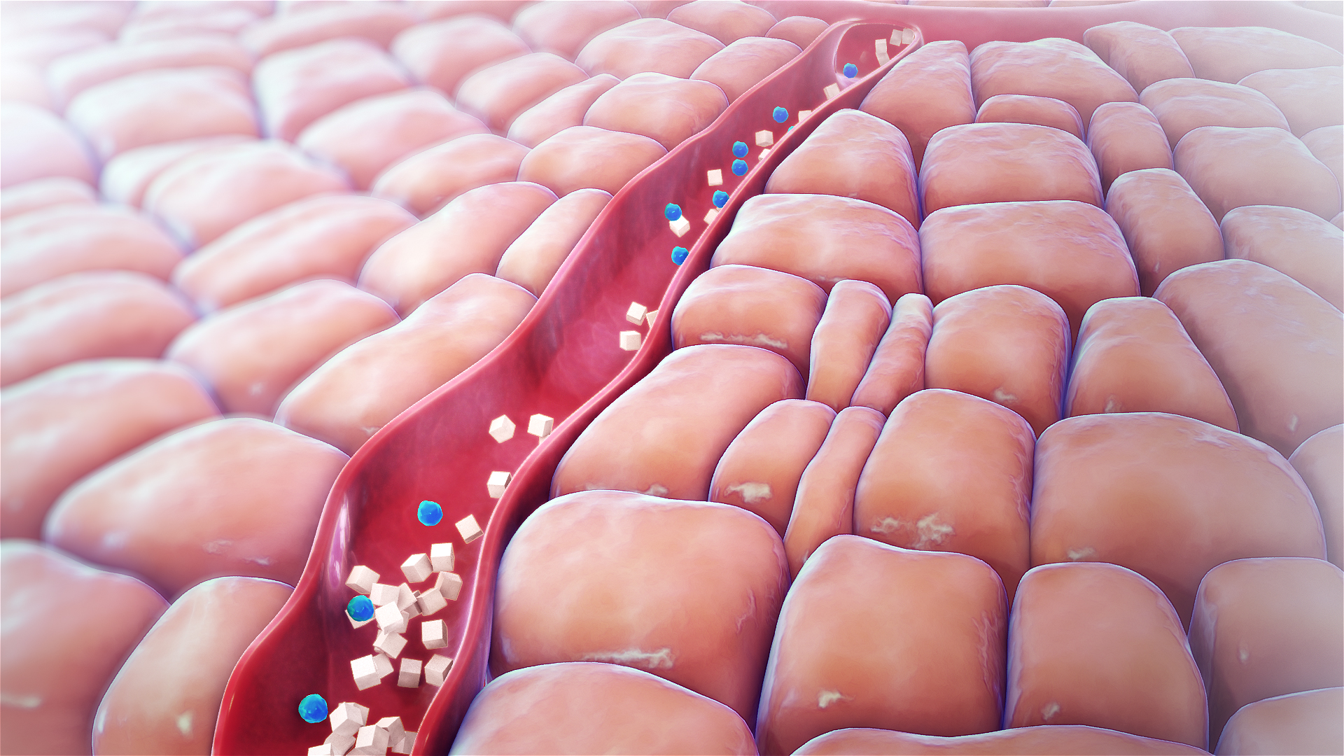 Low Blood Sugar Hypoglycemia Symptoms Causes And Treatment