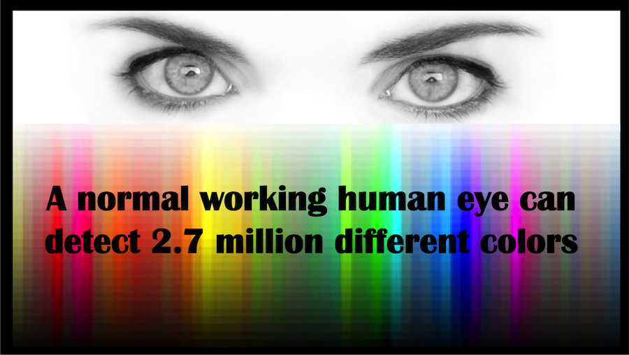 Number of colors a normal human eye can detect