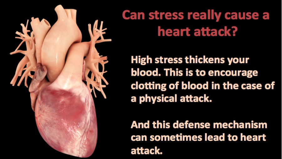 Can Stress Cause A Heart Attack Scientific Animations