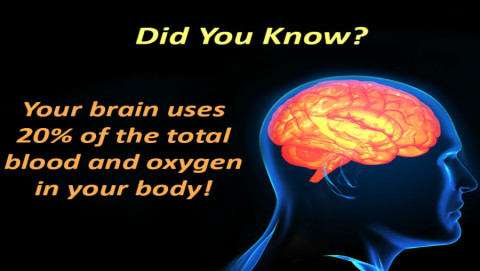 brain app android food oxygen exercise