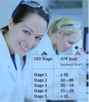 Stages of CKD - GFR Levels - Scientific Animations