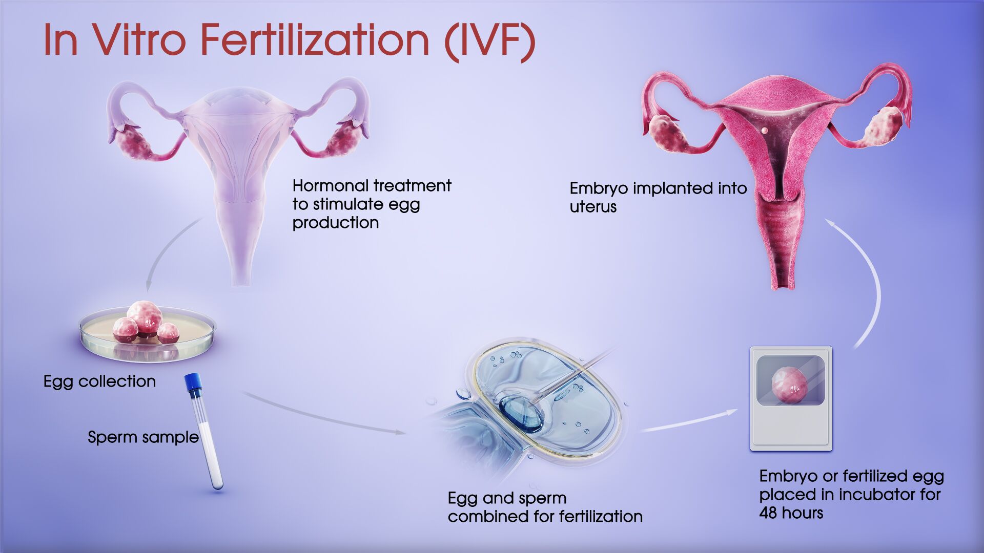 research topics in vitro fertilization