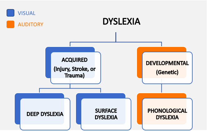 What Are the Different Types of Dyslexia?