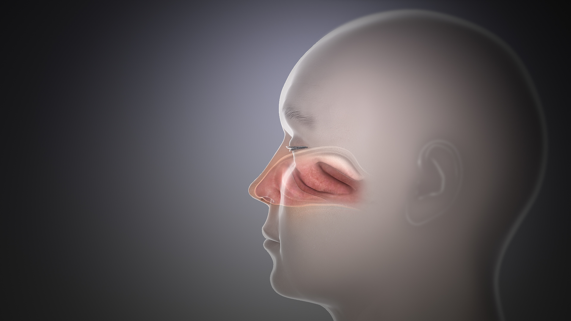 Nose: Functions and related Diseases - Scientific Animations