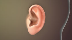 3D medical animations still showing ear